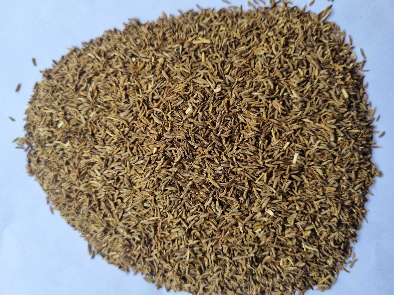 Cumin Seeds (Crushing Quality) - Color: Brown