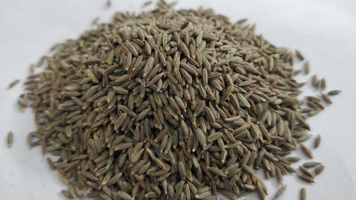 Cumin Seed - Food Grade, Raw Processing | Elongated Shape, Earthy Brown Color, 2-year Shelf Life
