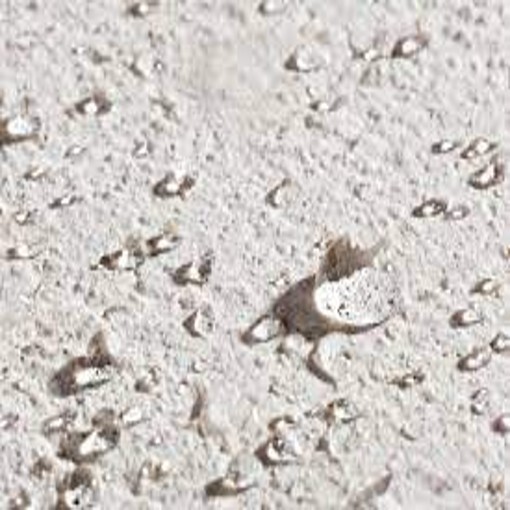 Fabrics Water Repellent Coating