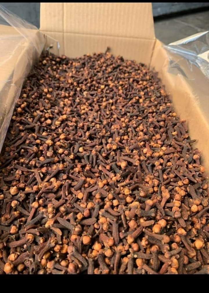 Clove Seed - Color: Brown