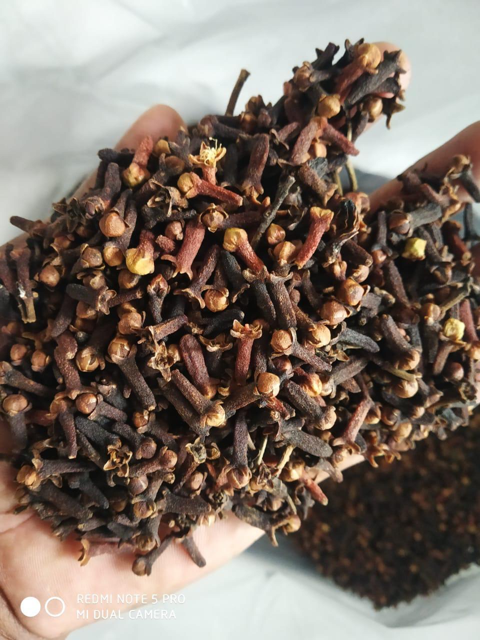 Clove Seed - Color: Brown