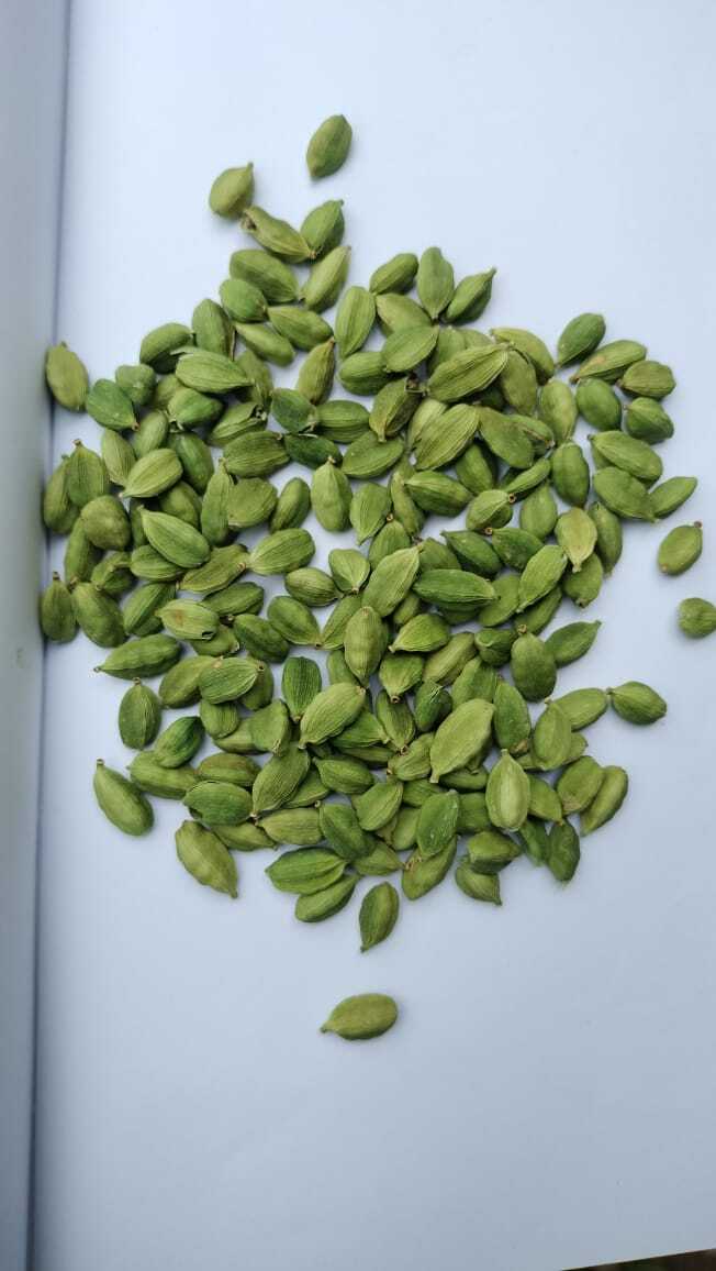 Green Cardamom Pods - Raw Dried Green Cardamom | Food Grade, Shelf Life Of 1 Year, Cold Store Storage