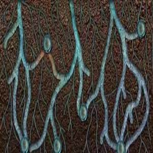 Agri Gel For Soil Mix - Color: Transperent