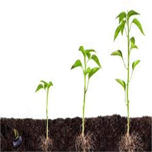 Agri Gel For Soil Mix - Color: Transperent