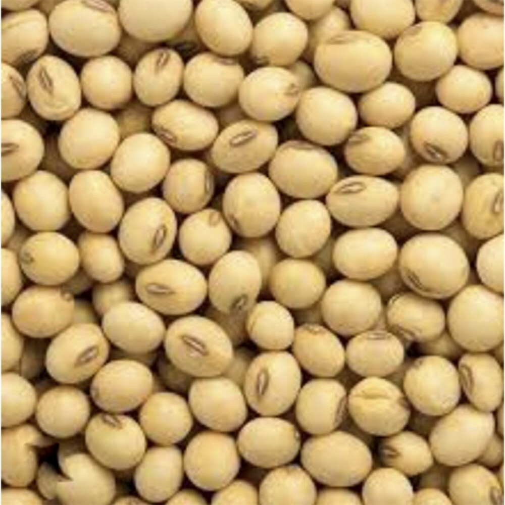 सोया बीन - प्रियंका इंटरप्राइजेज