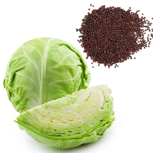 गोभी - गोल्डन एकर