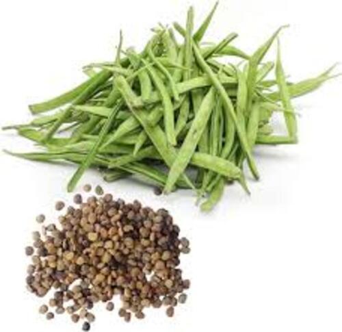 गवार बीज