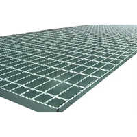 सिल्वर एंटीस्किड ग्रेटिंग्स