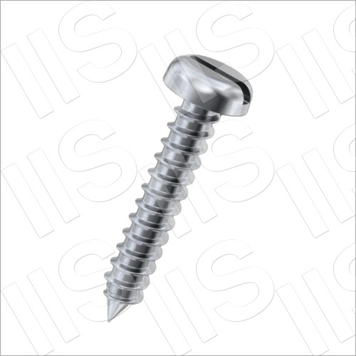 Self Tapping Screws - Mild Steel & Stainless Steel, High Quality Silver Polished Finish