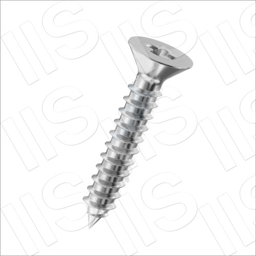 Silver Ss Self Tapping Screws