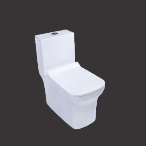 व्हाइट स्लॉप एसपी ट्रैप वन पीस क्लोज़ेट