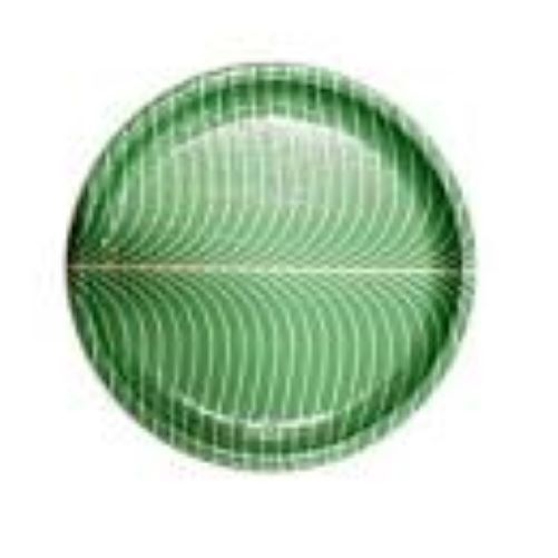 Buffet Paper Plate - Color: Green