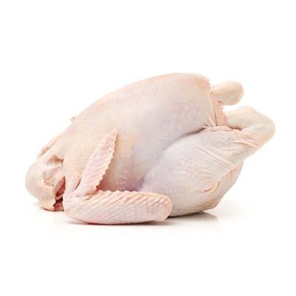 Top Quality Halal Whole Frozen Chicken Halal Frozen Whole Chicken Best Rate Frozen Whole Chicken