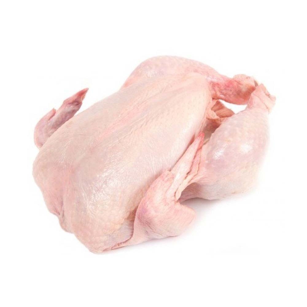 Top Quality Halal Whole Frozen Chicken Halal Frozen Whole Chicken Best Rate Frozen Whole Chicken