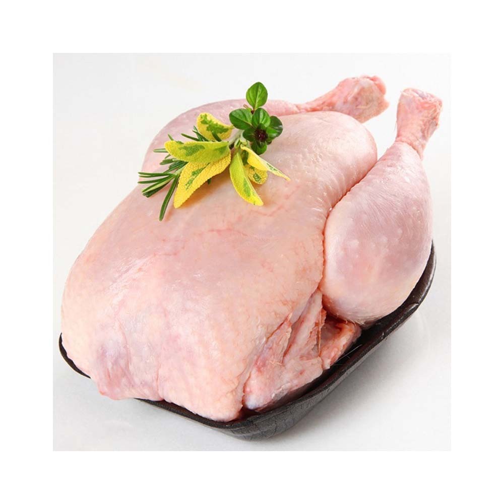 Top Quality Halal Whole Frozen Chicken Halal Frozen Whole Chicken Best Rate Frozen Whole Chicken