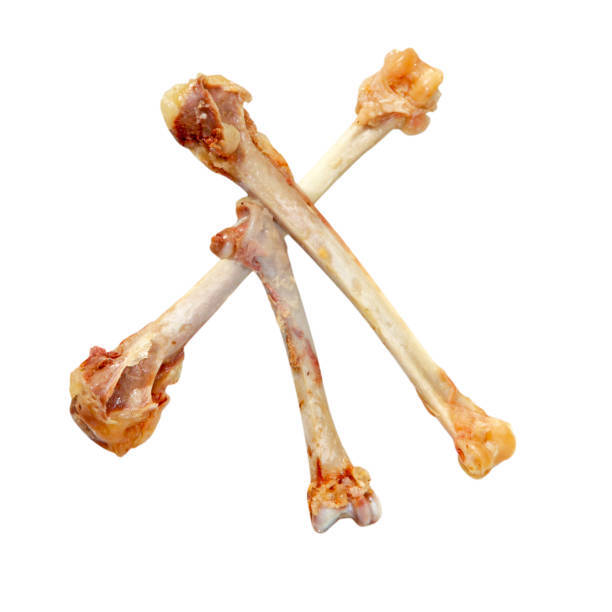 Snacky Dog Treat Chew Bone Chicken Wrapped Admixture (%): 18