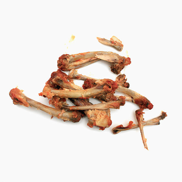 Snacky Dog Treat Chew Bone Chicken Wrapped Admixture (%): 18