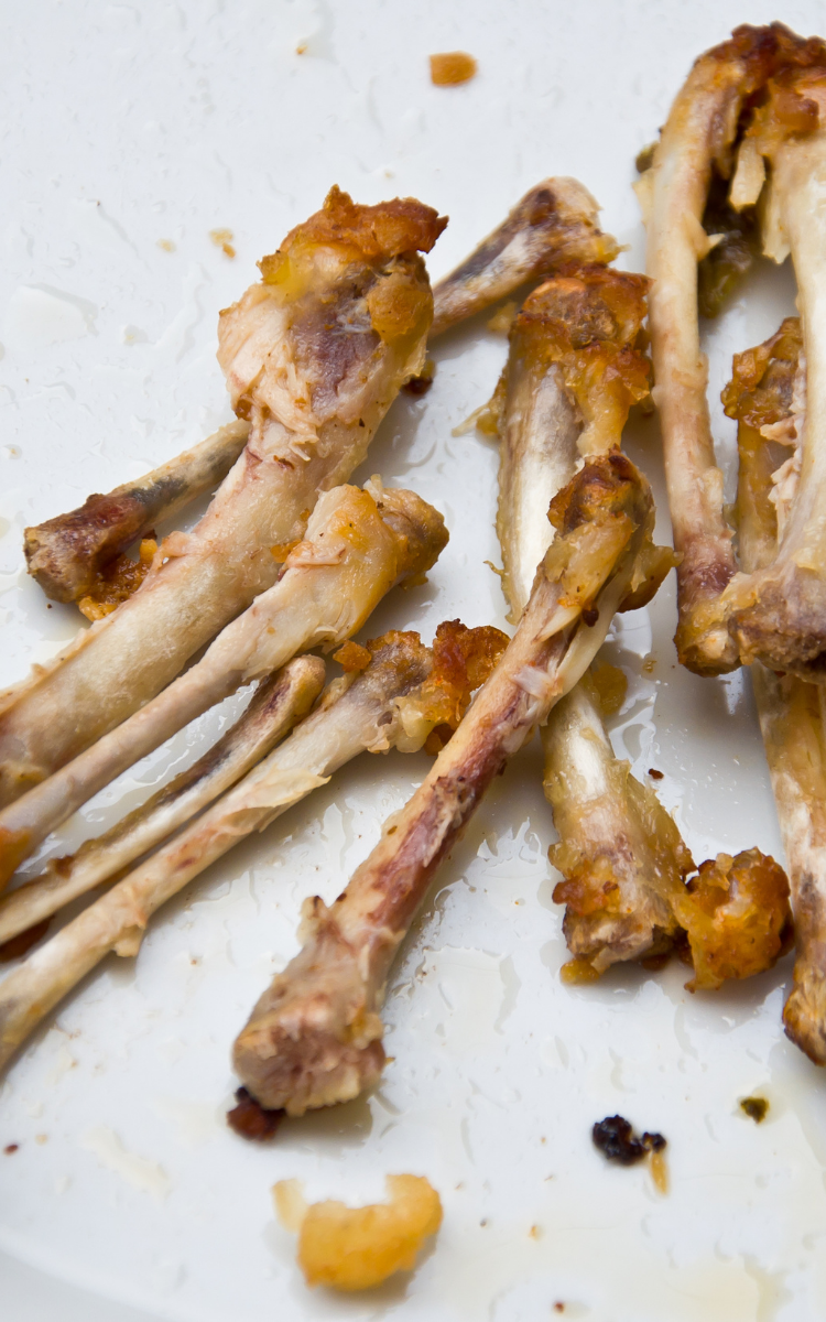 Snacky Dog Treat Chew Bone Chicken Wrapped Admixture (%): 18