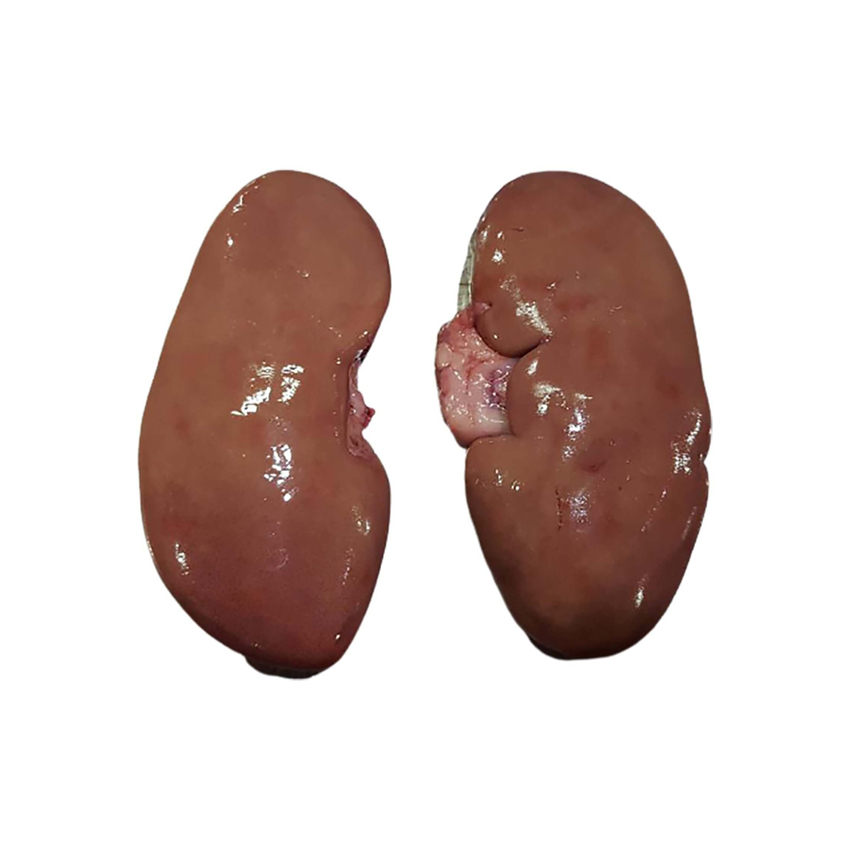 Frozen Pork Kidneys - 1 Kilogram Pack, Grade A Gluten-free Offal With Low-carb, Low-fat, And Low-sodium Properties
