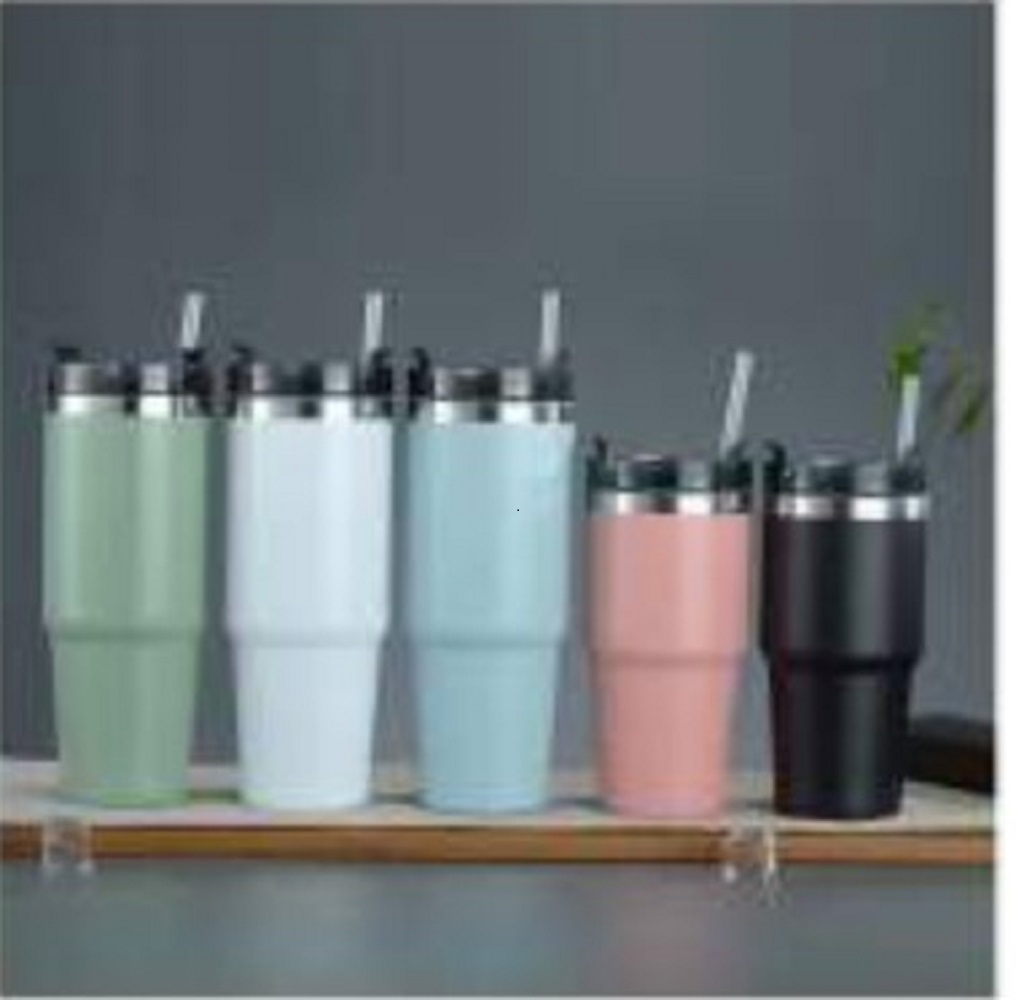 Ss (Vaccum Flask)
