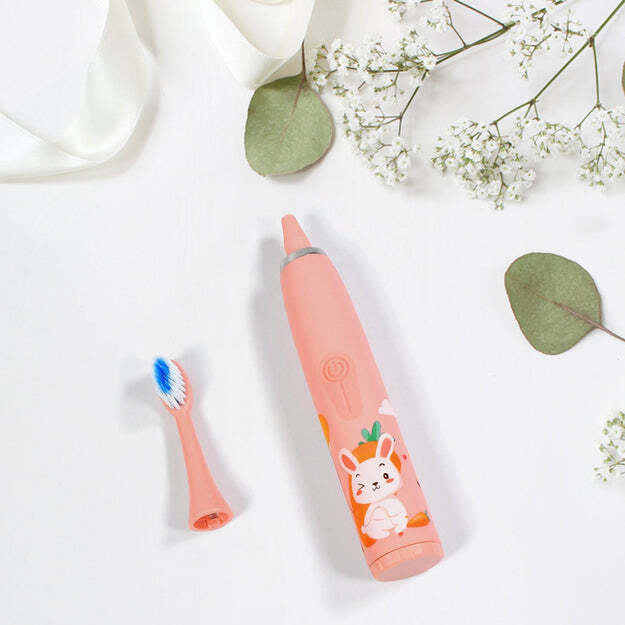 Lectric Toothbrush For Adults And Teens (7324)