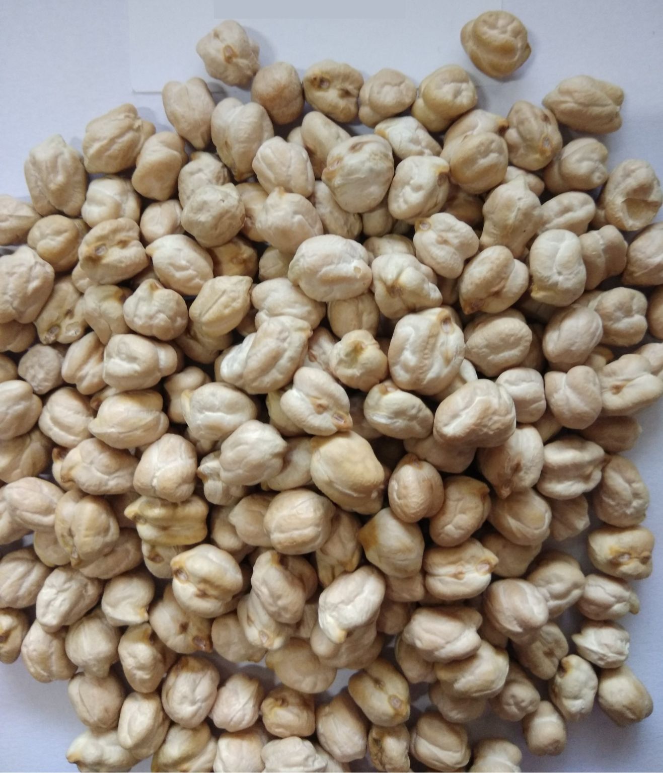 Kabuli Chana - Broken (%): 0.1