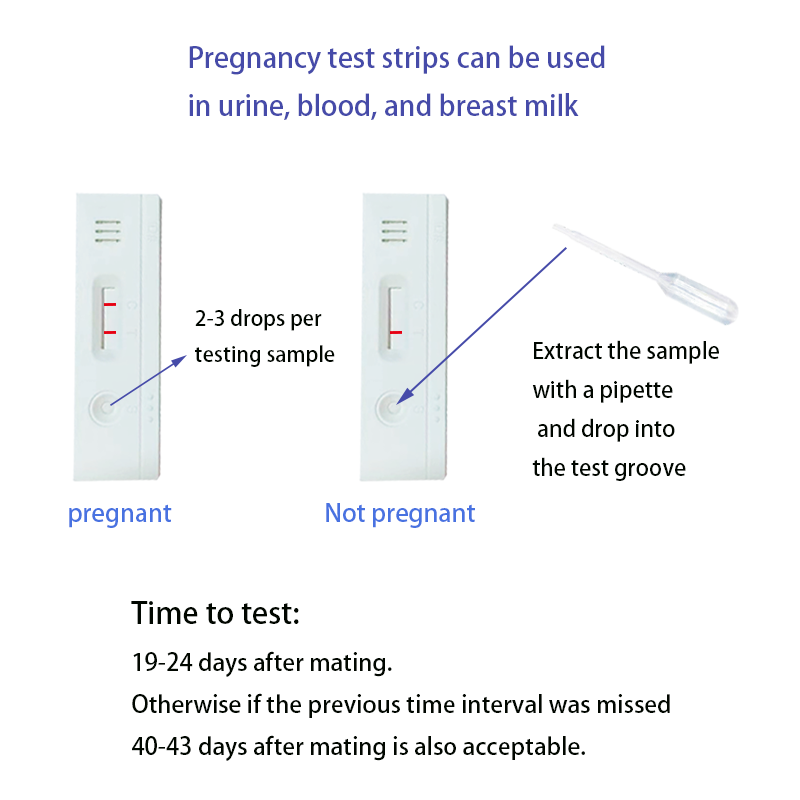 1pcs Cow Pregnancy Test Kit 4.92inch Easy To Carry Cow Pregnancy Test Kit White Dimension (L*w*h): 22*13*7  Centimeter (Cm)