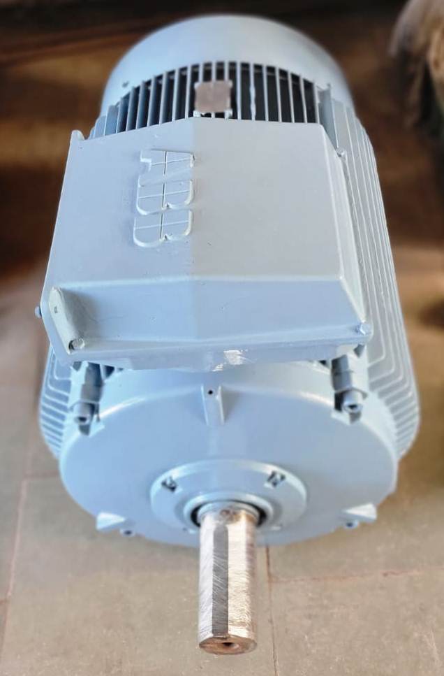 Abb Induction Motor