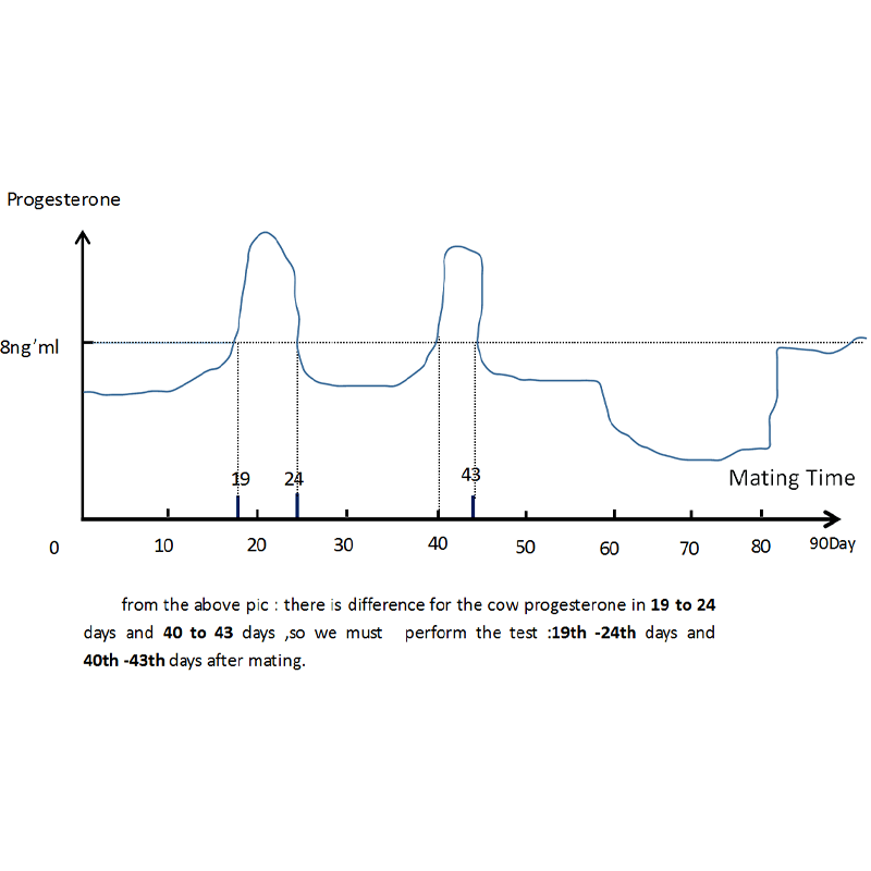 5pcs Rapid Detection Cow Pregnancy Test Kit White Easy And Fast - Dimension (L*w*h): 22*13*7 Centimeter (Cm)