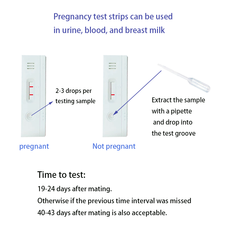 5pcs Rapid Detection Cow Pregnancy Test Kit White Easy And Fast - Dimension (L*w*h): 22*13*7 Centimeter (Cm)