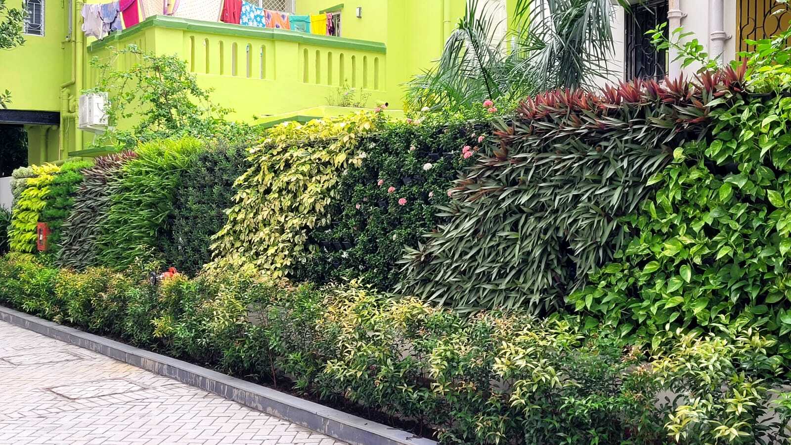Vertical Garden - Color: Green And Mixed
