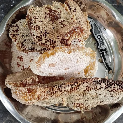 Raw Wild Forest Honey - 100% Pure Liquid, Moisture: 15.5%, Shelf Life: 24 Months | No Additives, Forest Honeydew Blend, Easy To Store