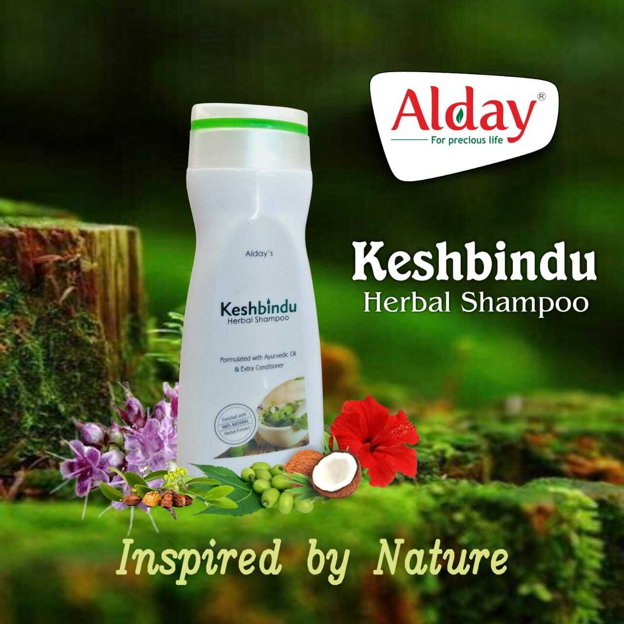 Aloevera Hair Shampoo - 500 Ml | Boosts Hair Growth, Reduces Hair Fall, Dandruff Control, Paraben Free, Suitable For All Hair Types
