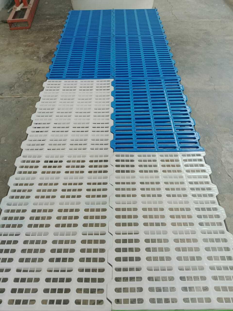 Poultry Slates - Hdpe, 600 Mm Size, 1200 G Weight | Interlocking Slats Design For Waste Management And Easy Maintenance