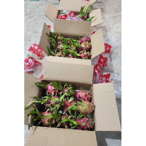 Common Dragon Fruit