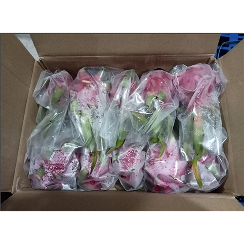 Common Dragon Fruit