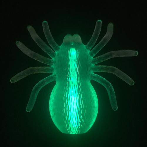 Glow Spider Toy Light