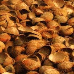 नारियल की खोसी