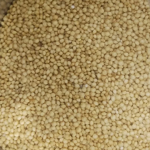 Cholai Seeds - Fresh, High Purity, Smooth Texture | Natural Protein & Fiber Source, Mild Nutty Flavor, Versatile Culinary Ingredient