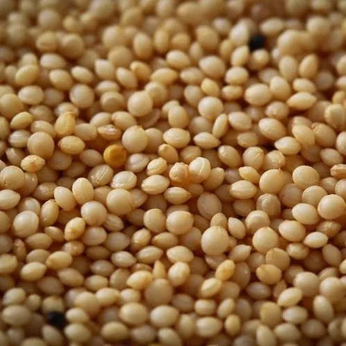 Rajgira Millet - Granular Form, Gluten-Free, Freshly Packed for Optimal Quality, Nutty Flavor, Rich in Nutrients