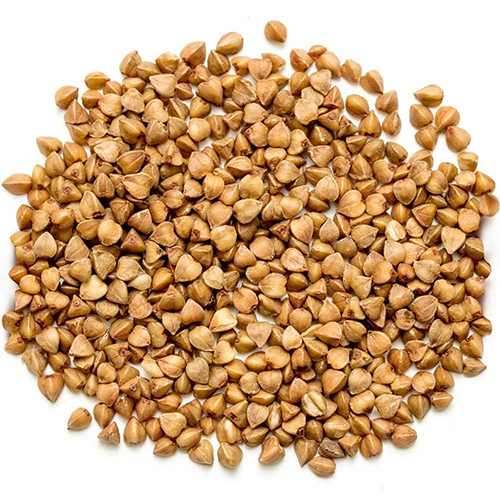 Kuttu Millet - Granular Form, Fresh Style | Gluten-Free Grain Rich in Minerals, Vitamins, and Dietary Fiber