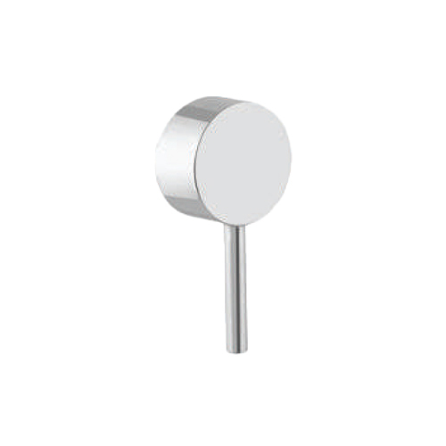 Silver Diverter Head