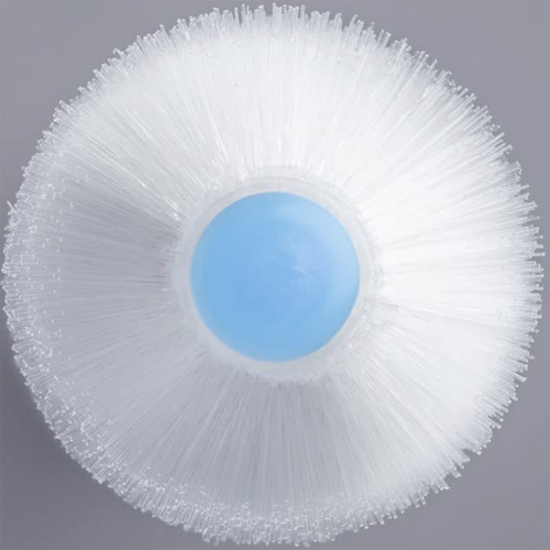 Plastic Poptan Soh Toothbrush
