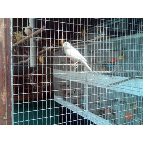 Welded Wire Mesh - Color: Silver