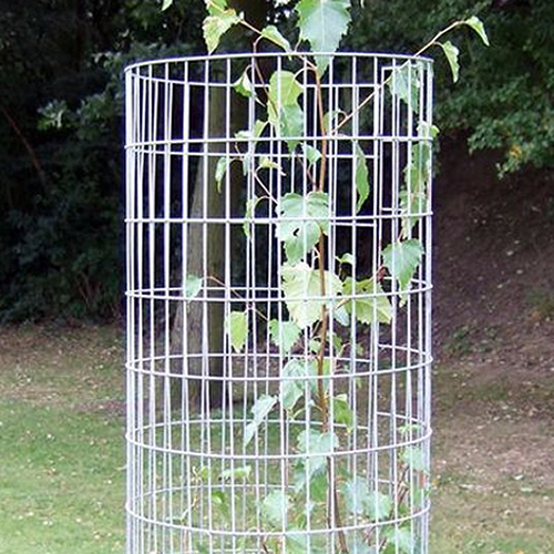 Fencing Wire Mesh - Color: White