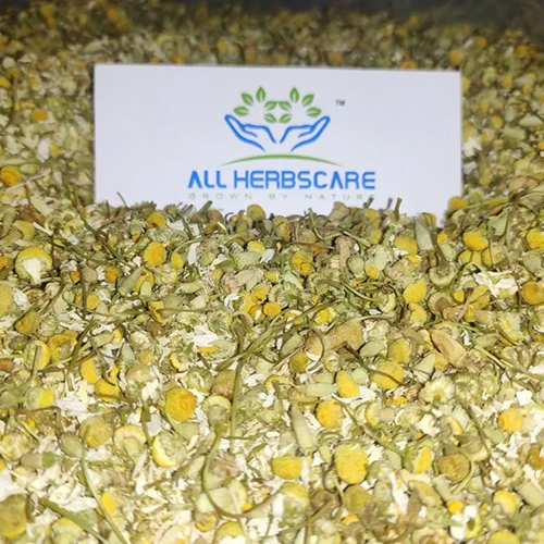 Chamomile Flower By All Herbscare