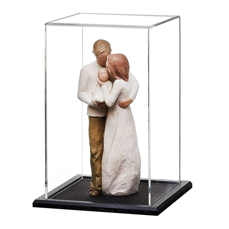 Tran Sparent Model Display Box