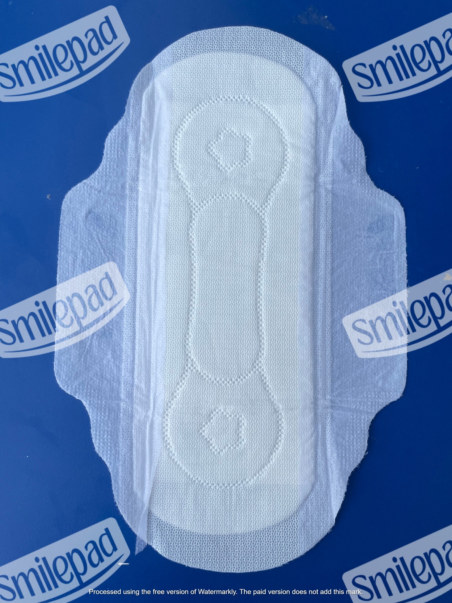 Drynet Regular Ultra Thin Sanitary Pad