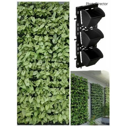 साफ करने में आसान बायो वॉल मॉड्यूल