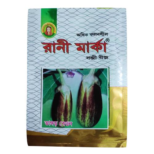 Common Brinjal Seeds